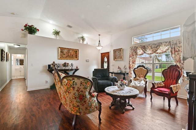 sitting room featuring vaulted ceiling and dark wood-type flooring