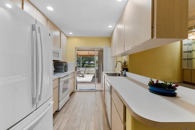 kitchen featuring a textured ceiling, sink, light hardwood / wood-style floors, and white appliances