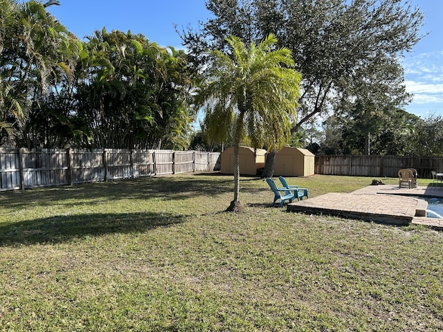 view of yard featuring a patio area and a storage unit