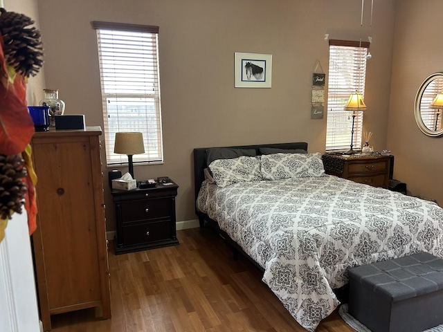 bedroom featuring multiple windows and wood-type flooring