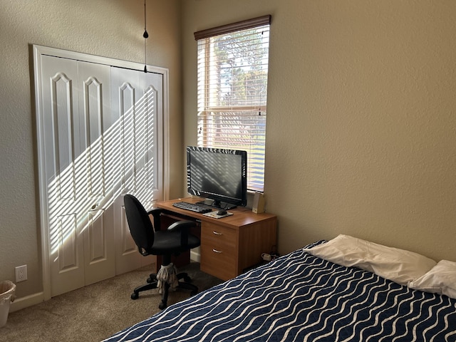 bedroom featuring carpet and a closet