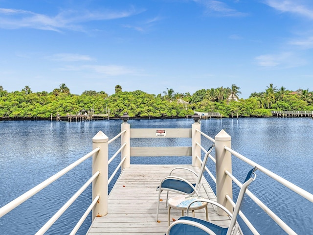 dock area with a water view