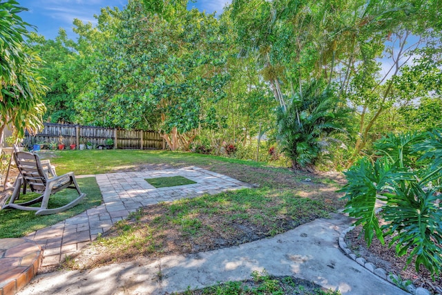 view of yard with a patio