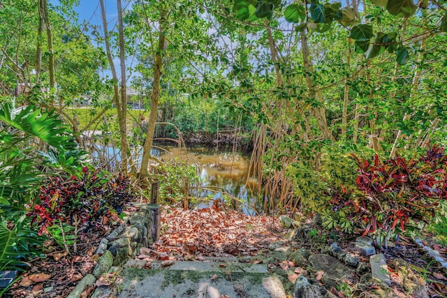 view of landscape featuring a water view