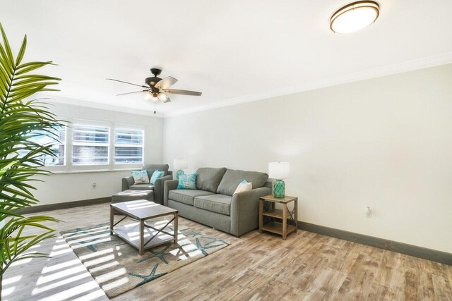 living room with ceiling fan, light wood-type flooring, and crown molding