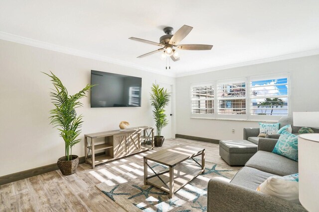 living room featuring light hardwood / wood-style floors, ceiling fan, and crown molding