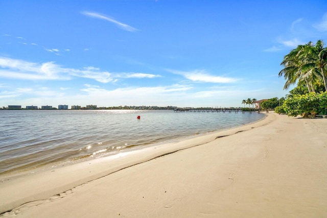 property view of water featuring a beach view