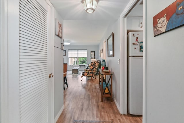 corridor with light hardwood / wood-style flooring