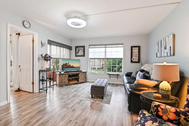 living room featuring hardwood / wood-style flooring