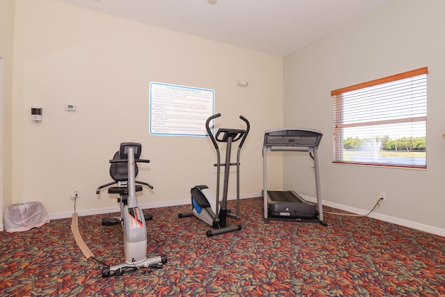 workout area with carpet flooring