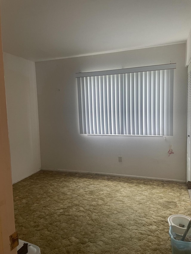 unfurnished room with carpet flooring