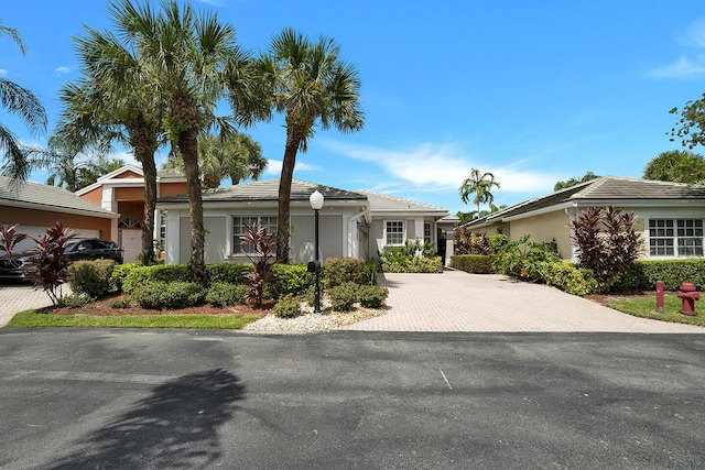 single story home with stucco siding and decorative driveway