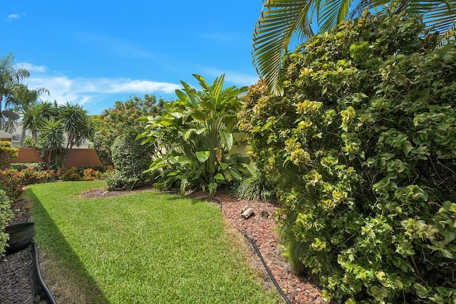 view of yard