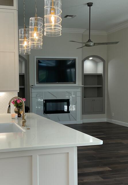 interior space with dark wood-type flooring, a premium fireplace, a sink, visible vents, and ornamental molding