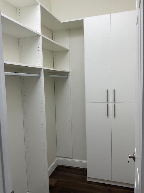 spacious closet with dark wood-style flooring