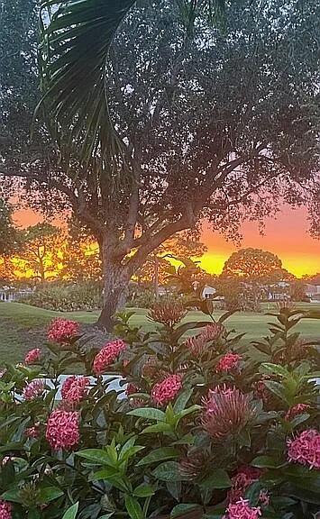 view of nature at dusk