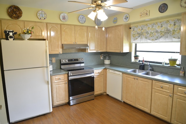 kitchen featuring ceiling fan, sink, tasteful backsplash, and white appliances