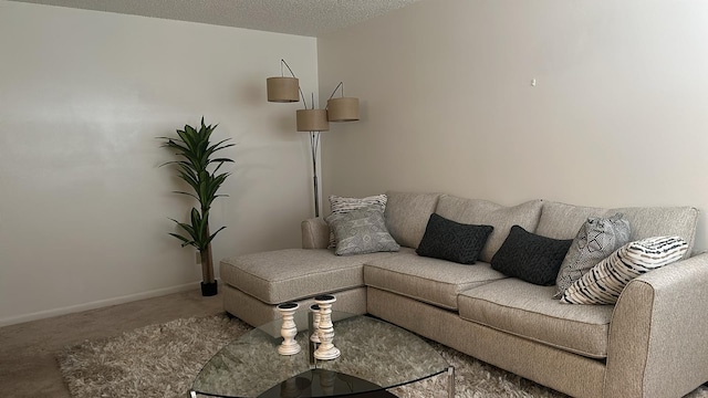 living room with carpet floors and a textured ceiling