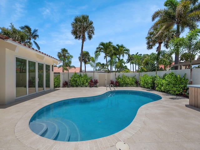 view of pool featuring a patio