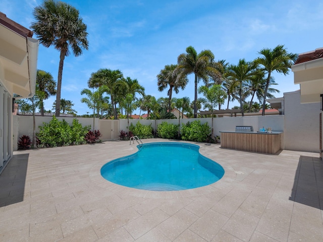 view of swimming pool featuring a patio area