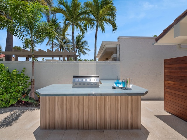 view of patio with area for grilling