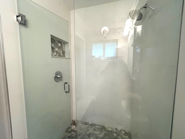 bathroom featuring a shower with shower door