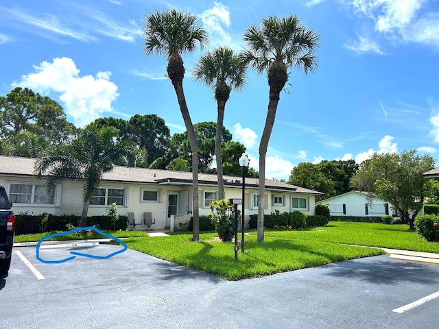 ranch-style house with a front lawn