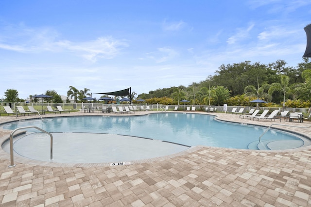 view of swimming pool featuring a patio