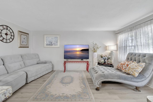 living room with light wood-type flooring