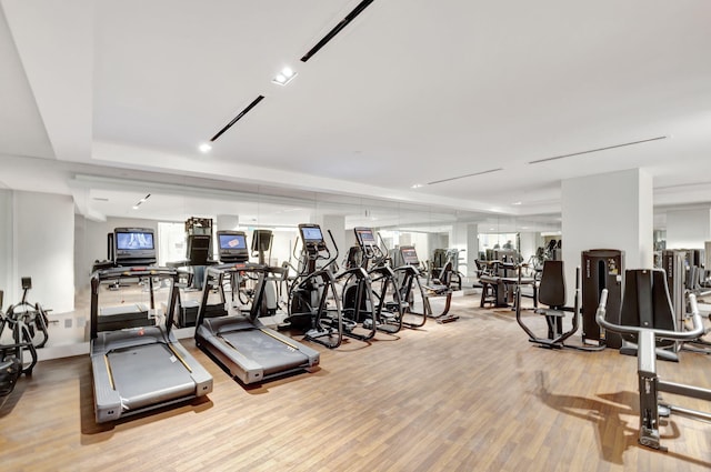 exercise room with light hardwood / wood-style flooring