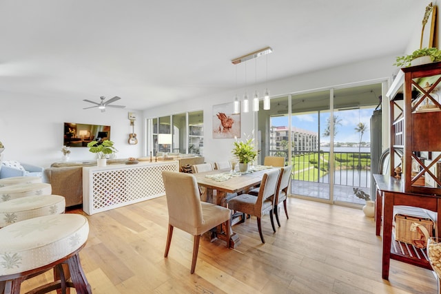 dining area with a water view, light hardwood / wood-style flooring, and ceiling fan