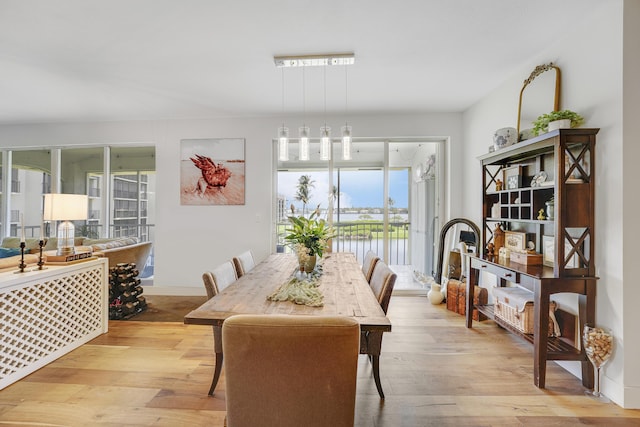 dining space featuring light hardwood / wood-style floors