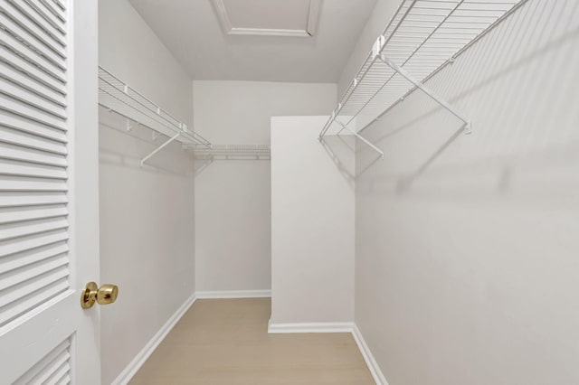 spacious closet with hardwood / wood-style floors