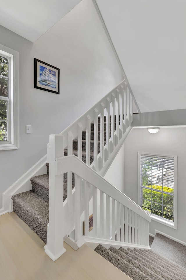 stairs with carpet floors and plenty of natural light