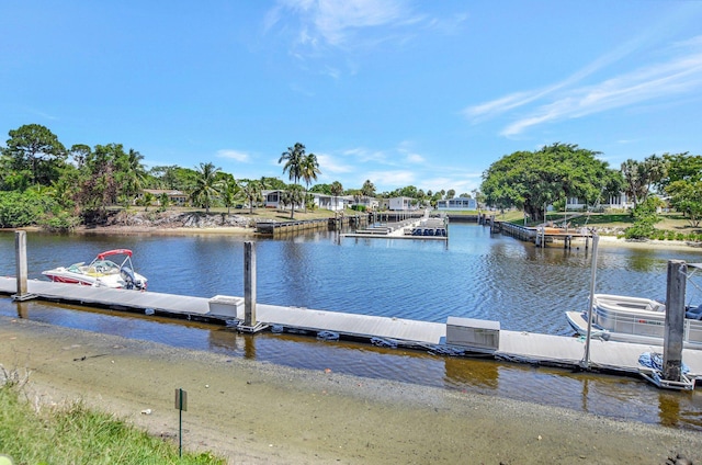 dock area with a water view