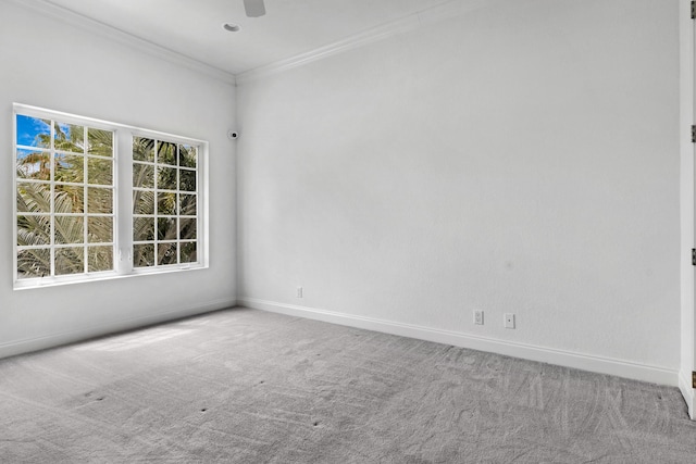 empty room featuring crown molding, ceiling fan, and carpet