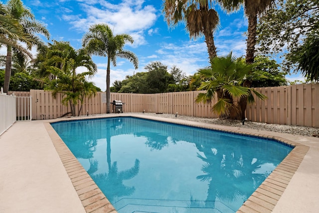 view of swimming pool