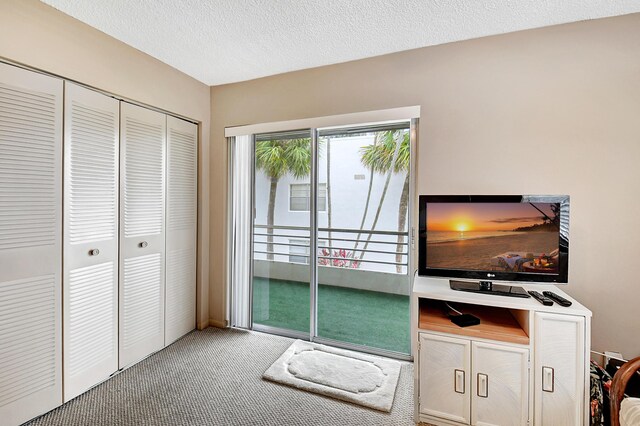 interior space featuring carpet, a closet, and a textured ceiling