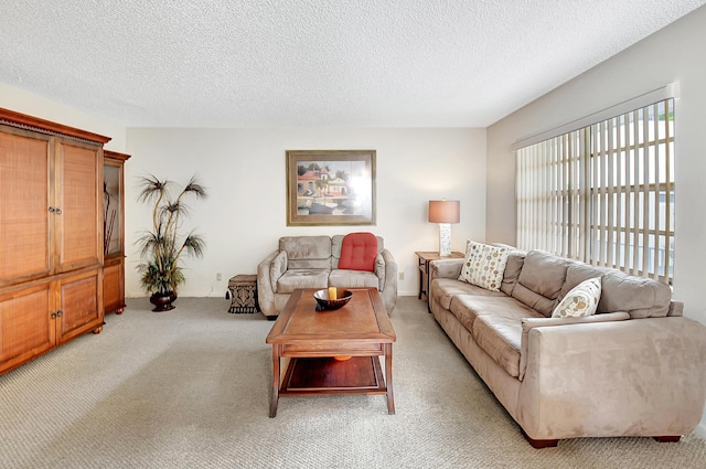 carpeted living room with a textured ceiling