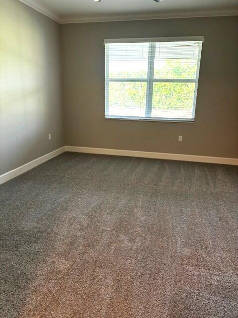 empty room with carpet floors, a healthy amount of sunlight, and ornamental molding