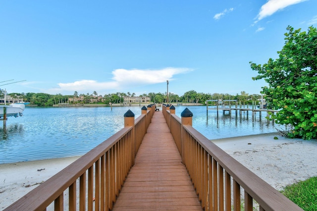 dock area with a water view