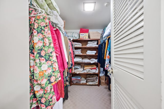 spacious closet with carpet flooring