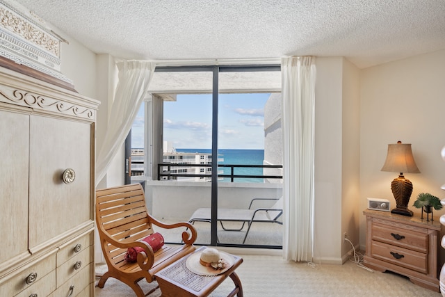 sitting room with light carpet, a water view, and a textured ceiling