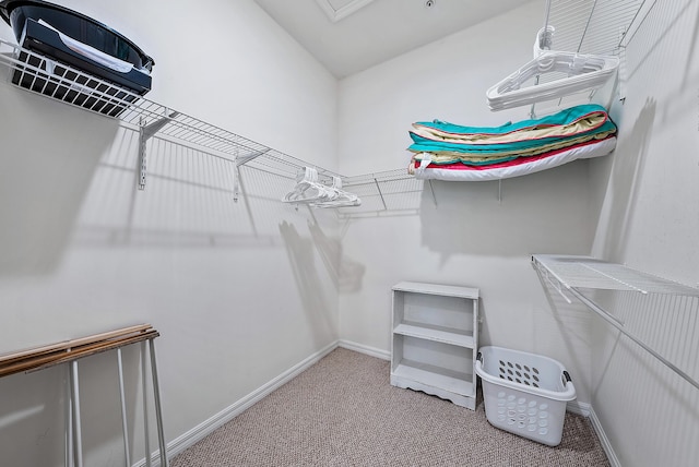 spacious closet with carpet floors