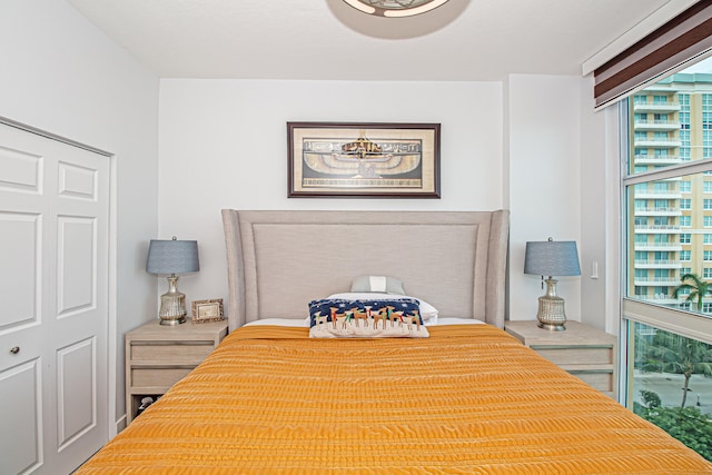 bedroom featuring a closet and multiple windows