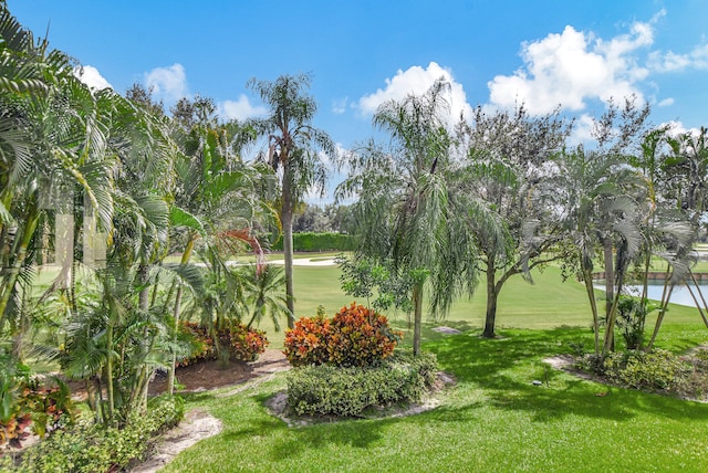 surrounding community with a yard and a water view