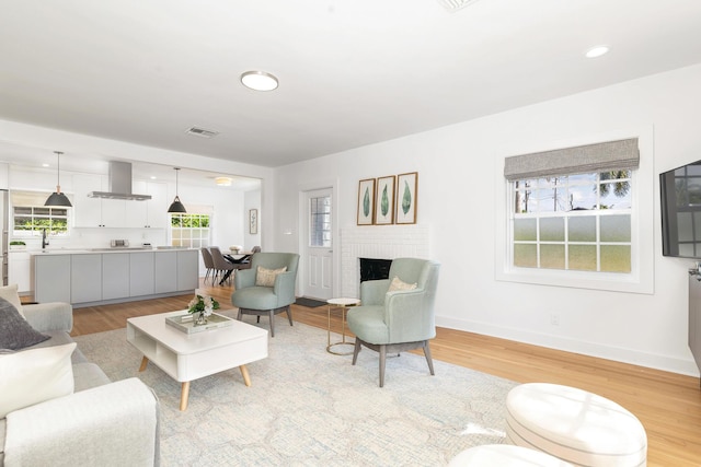 living room featuring a fireplace, light hardwood / wood-style floors, and a healthy amount of sunlight