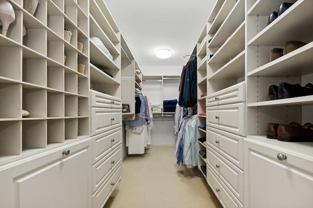 spacious closet with light carpet