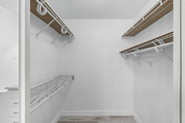 spacious closet with light hardwood / wood-style floors