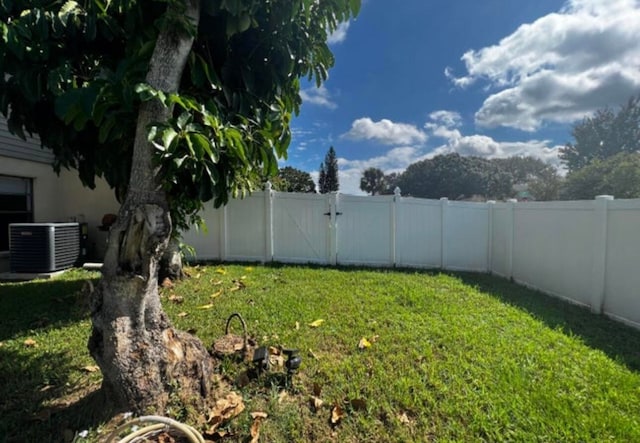 view of yard featuring a mountain view and central air condition unit